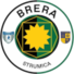 布雷拉斯特鲁米察U19